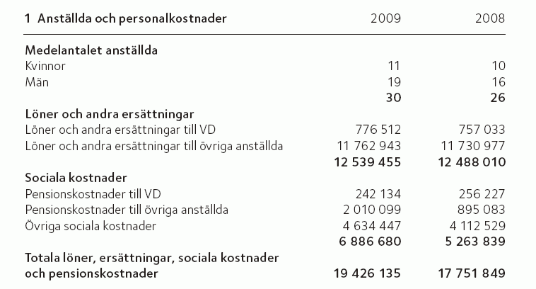 ssrsrapport.gif