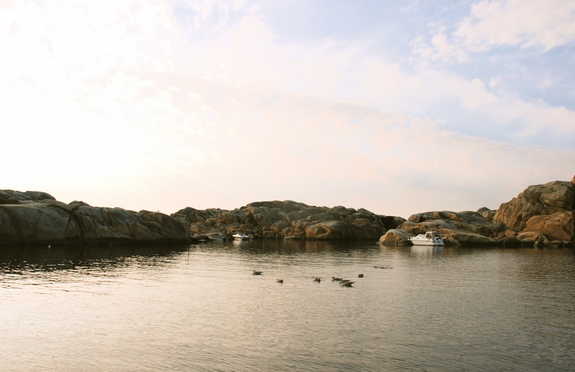 dsc_0178.jpg
