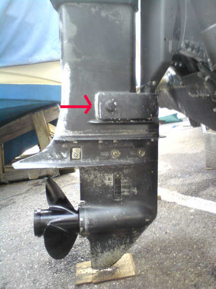 dsc00119_m_pil.jpg