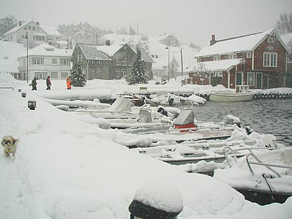 vinter2006_6.jpg
