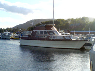 fjord38borsa1.jpg