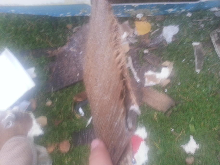 20121007_180216.jpg