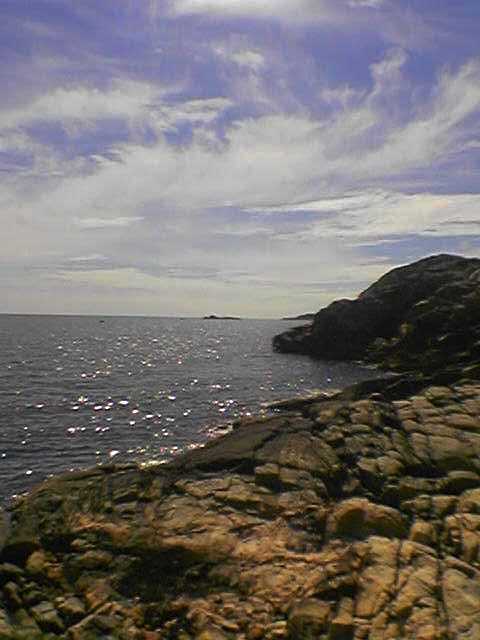 Bilde