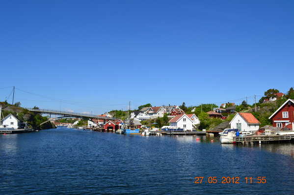 dsc_0910.jpg