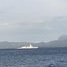 Fjordfreser