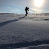 Bølganblå