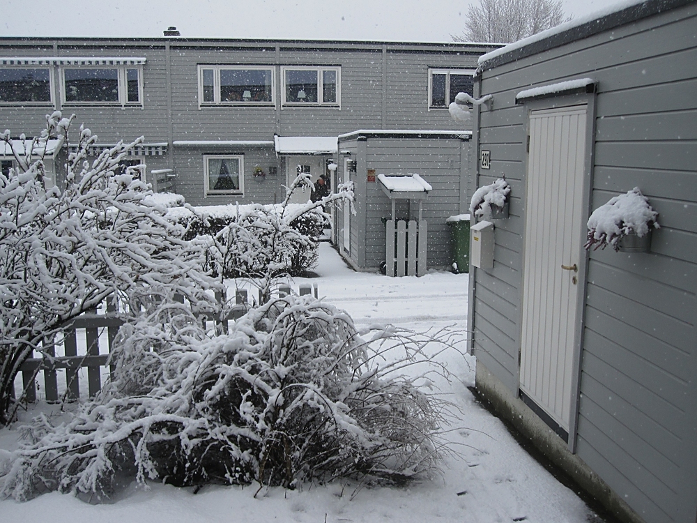 snow_24042017.jpg.b86a2bbb973126dcd7d69b4bcebf1c5d.jpg