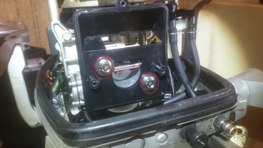 Forgasser_2.jpg.d13d0849d0ccc75d8d48710142fcd31e.jpg