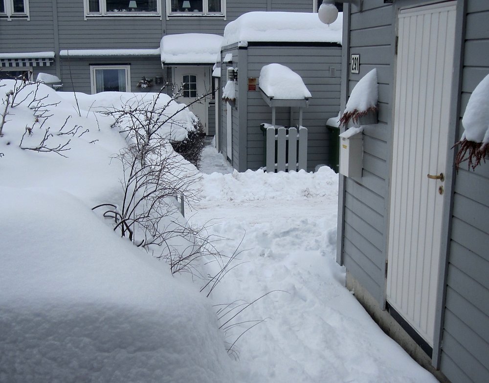 20cm.jpg.e48237827183b69938cb32cc4d065f12.jpg