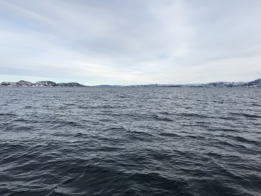 EA28EB06-70AF-4268-B728-C4452EAEF002.jpeg.c823488db6fb8f4568e463f4b5747492.jpeg