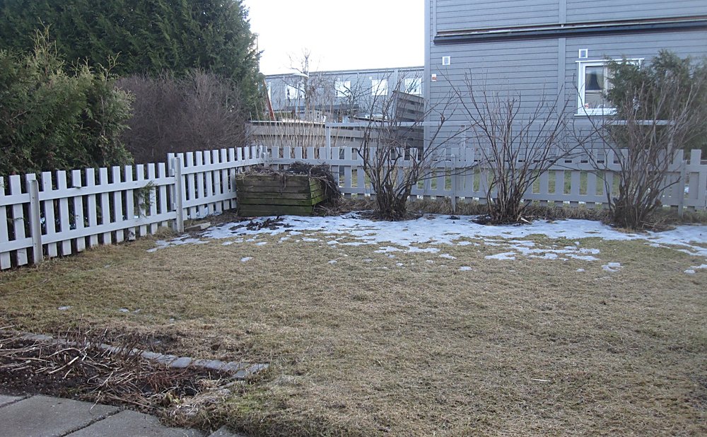 hagen_2015.jpg.d45fcc37d757395c7f1a13d67bc7b7a1.jpg