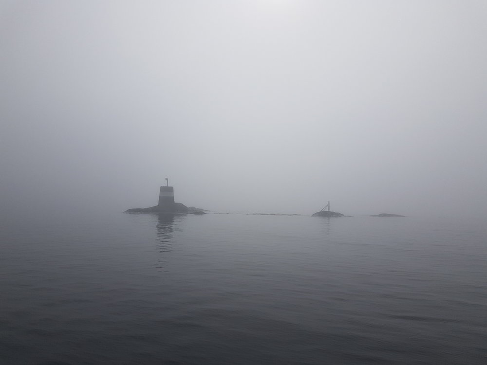 20180404_114022.jpg.787f59f684a1f0e6c6db6a1bc1fde6ec.jpg