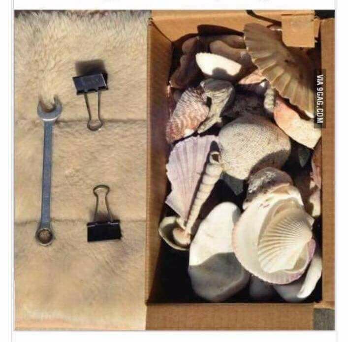 5ac170a57ca06_Getan9mmcoupleofclipsandaboxofshells.jpg.154ce368506e2516e1e9eb99dc05e379.jpg