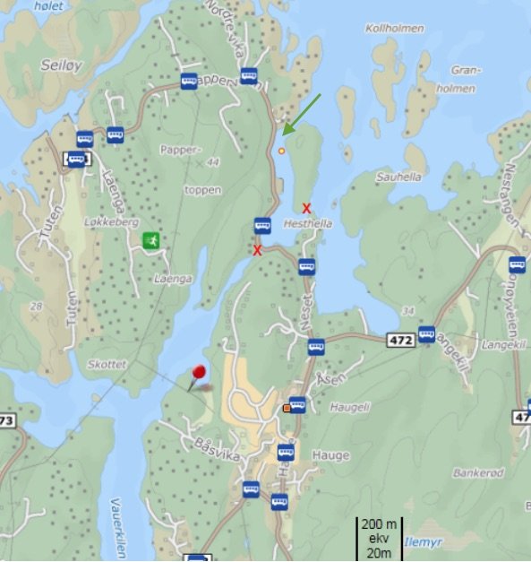 Hvalstrand.jpg.ec1363c09aaad2add72bfcd3f8a64409.jpg