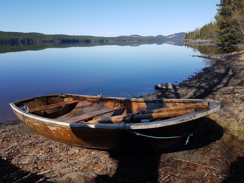 20180518_101334.jpg.2cf0fb12569448c0f1fc9a74ffdab121.jpg