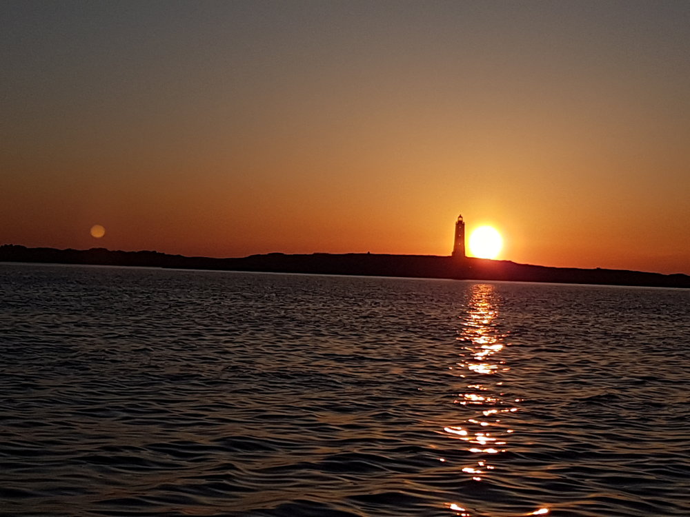 20180523_050118.jpg.0f06f014d53695cb60ffa62b5daa491a.jpg