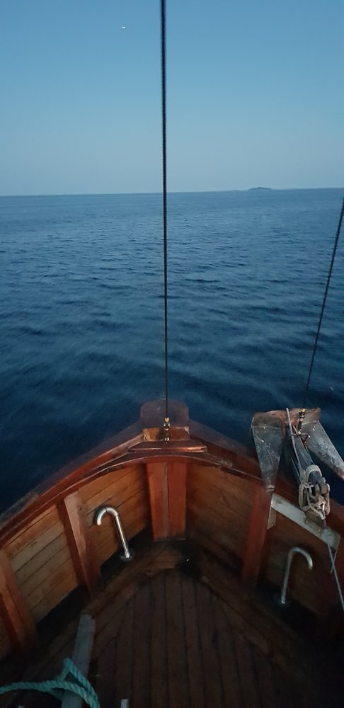 20180524_230938.jpg.66efc459b564abadea0093c91ca5ec2c.jpg