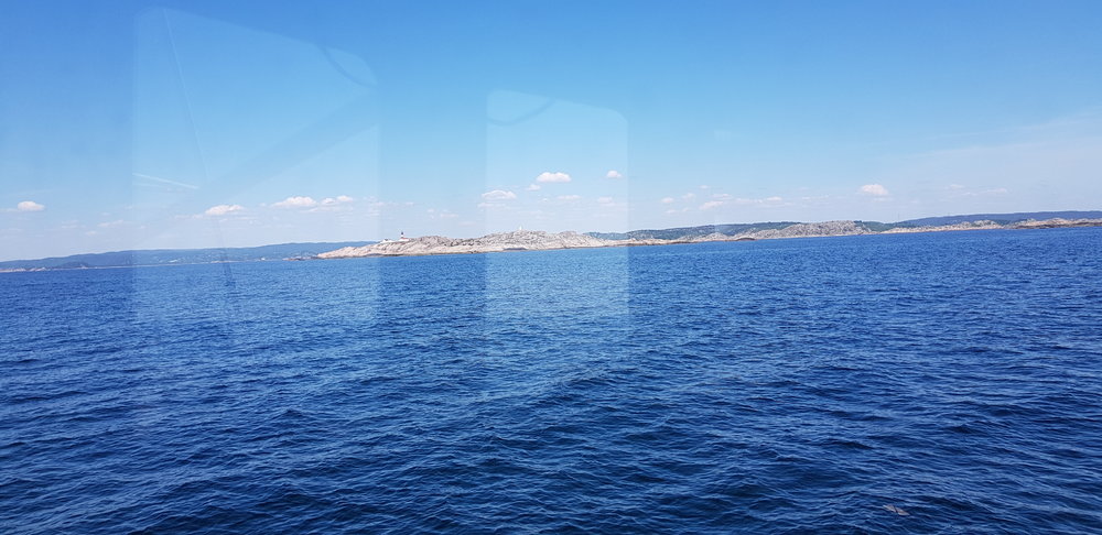 20180525_141821.jpg.235a43c78fbeb12994c731399152b628.jpg