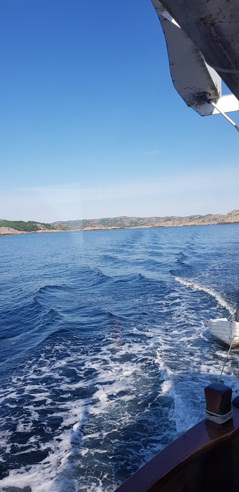 20180525_172122.jpg.399ab12cae8624134aadea76dc82d0cd.jpg