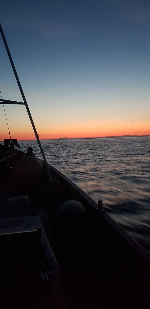 20180526_031248.jpg.3018b3de66e45ece3825e82e4381a92d.jpg
