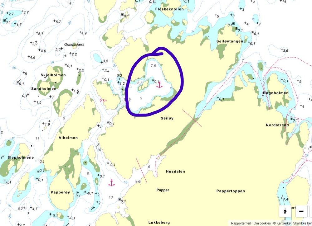 595770829_Fredagshlet_svai.jpg.38cd0ee37d10fb4be8425970f1318c05.jpg