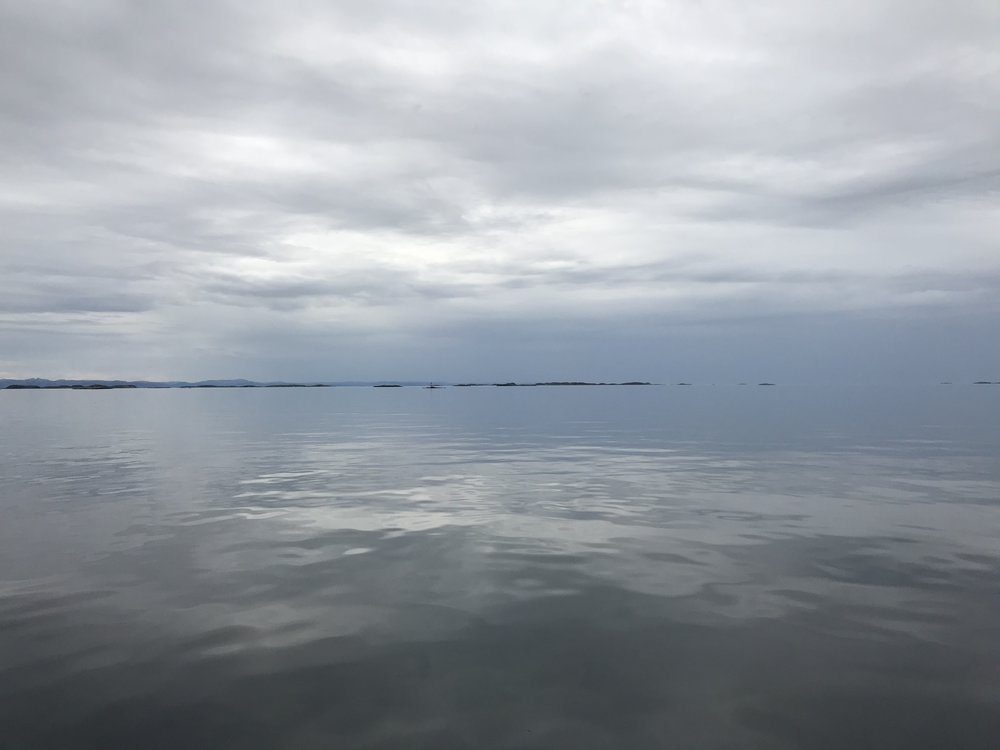 746C7FF1-8B43-4658-AC01-3EB6DE211A69.jpeg.15339531cefa2517b187495ca1017169.jpeg