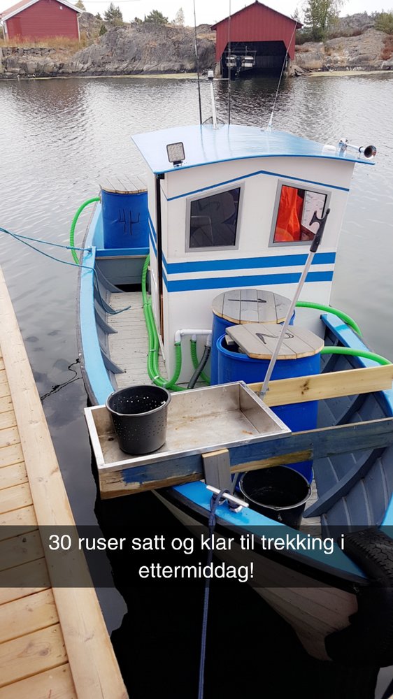 Snapchat-1483344764.jpg.6d09fd09049ae02a00c0289feaf0b4ee.jpg