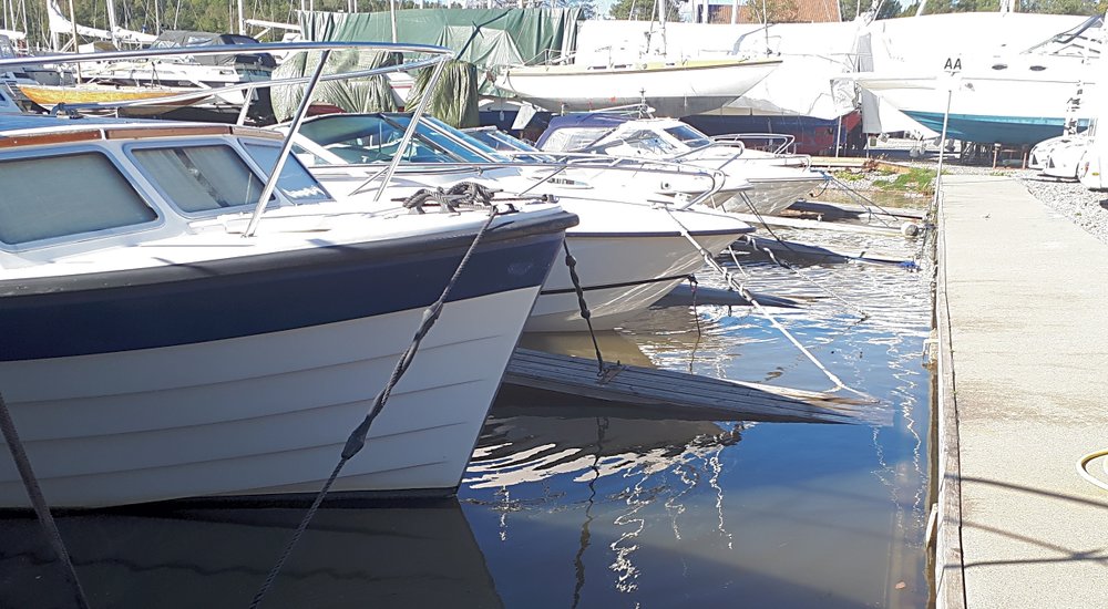 hoyvann_son.jpg.979bf08cf8407a1e08079ab8a04888b6.jpg
