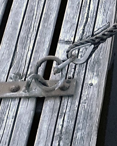 sjakkel_kause.jpg.265ca682b93cbc260f0ef29f27632811.jpg