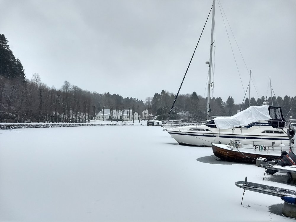 IMG_20180303_123331206_HDR.jpg.20c91353fbe5f2a5b64c020194e5d330.jpg