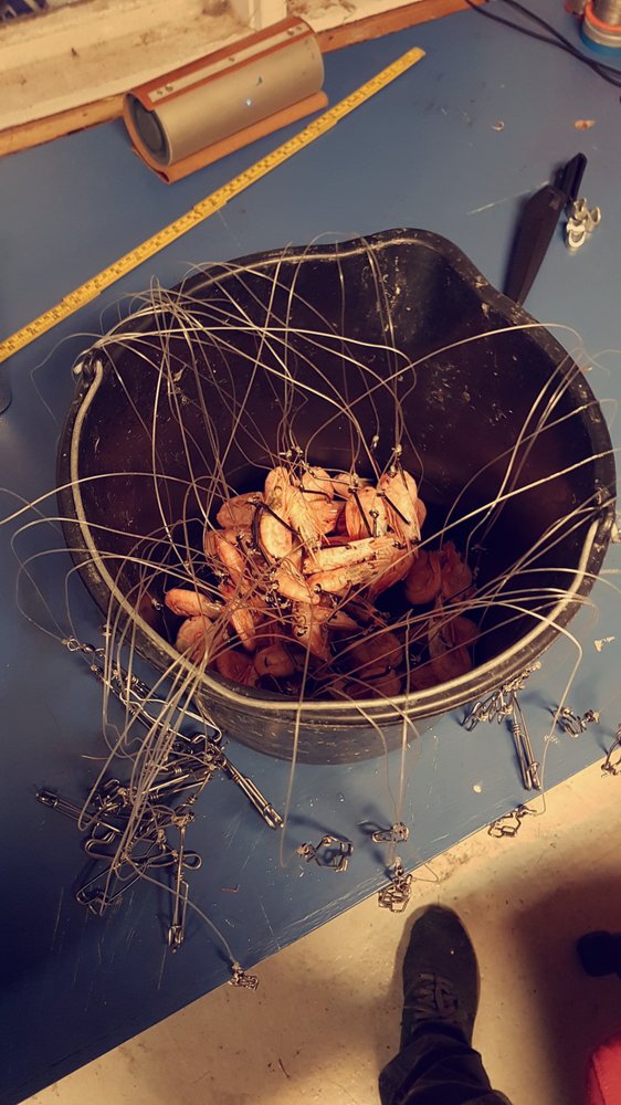 Snapchat-115328290.jpg.4891211279a7faa689e40b1babc554b8.jpg