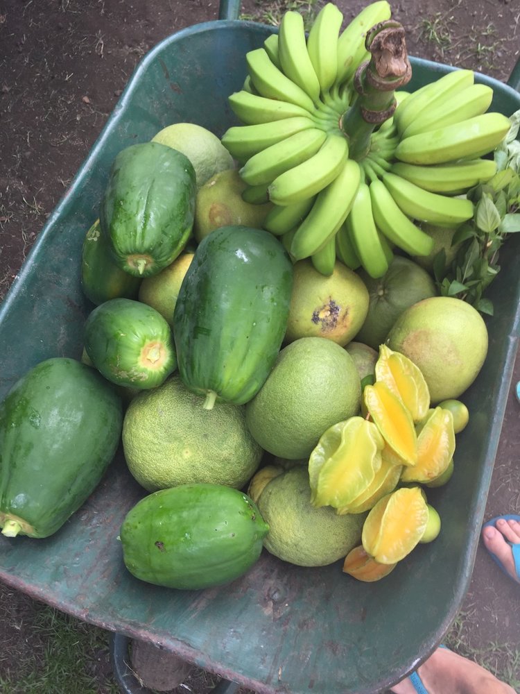 Frukt.jpg.4c4c1f807b860a16abaad0b671f5c571.jpg