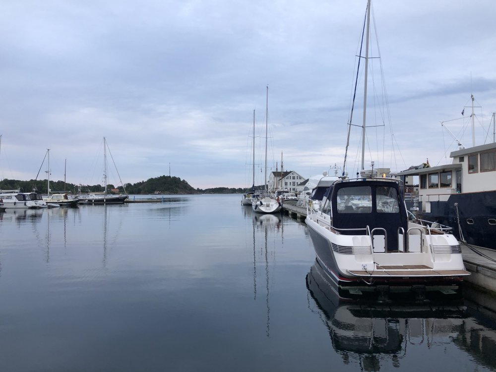 18141308-A137-4FA2-BE9E-9DA53539A8F4.jpeg.41d3d2599eef95c0d7d554acb5031701.jpeg