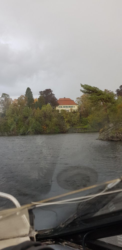 20180930_141354.jpg.b1c9c5142546bb9eac65abb21b6eadb8.jpg