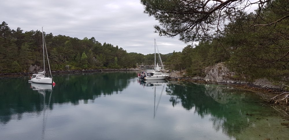 20190518_145057.jpg.ca241a2576d6ffd9068892e44014b56a.jpg