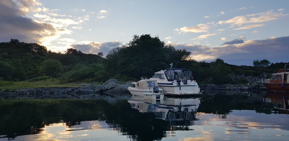 20190614_220019.jpg.b0f1aeccfd79f1855f90ff4486736d33.jpg