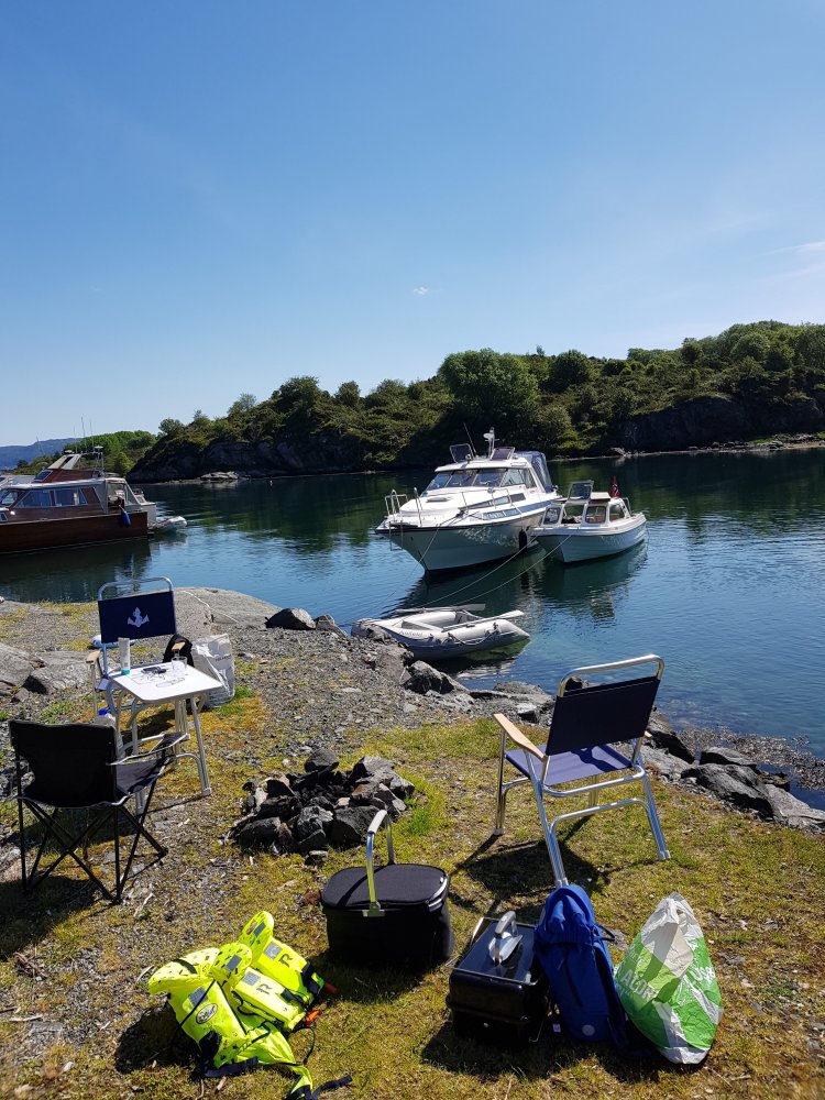 20190615_114909.jpg.6a19bb835d7503dac430ee91e7ed34be.jpg