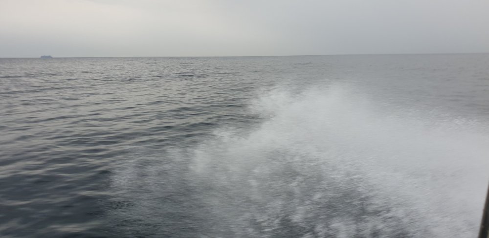 20190624_200354.jpg.32c1bfadde6a05885e96c87f38d654a3.jpg