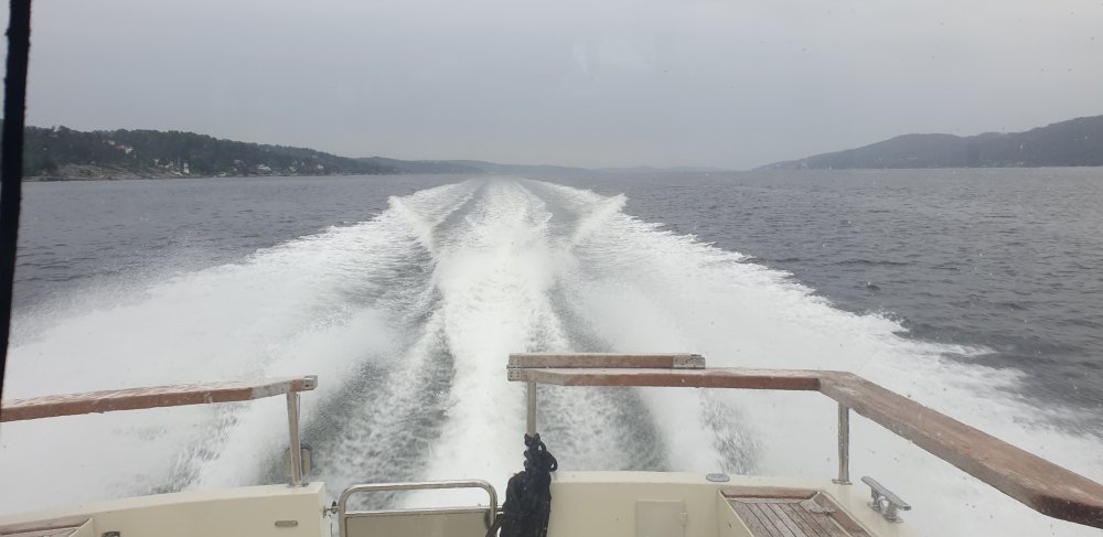 20190625_190648.jpg.b07c52b57d3af42fa4786046f7777b7f.jpg