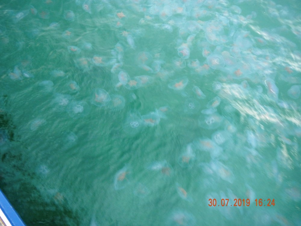 131126708_glassDSCN5443.JPG.ab47d82b25abcdb1d43f5f973ad797da.JPG