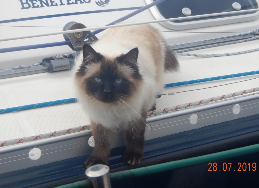 1539966143_kattDSCN5426.JPG.6d285eb8b33c2b3b469ac2f3abd5297e.JPG
