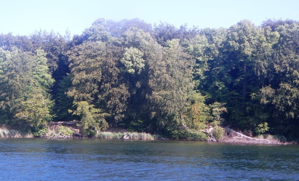 1616409740_flodDSCN5394.JPG.a9bb0122902e4895b25bbc584fcc02a7.JPG
