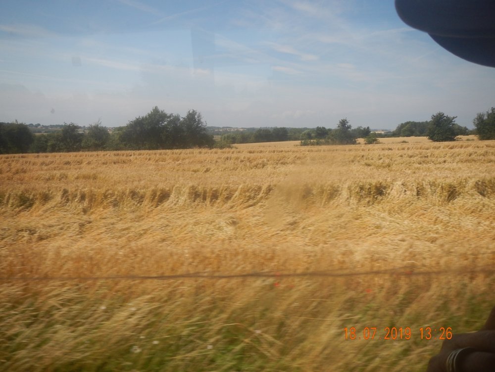 1980846130_legdeDSCN5204.JPG.9d845af54db50115d77764af78121281.JPG