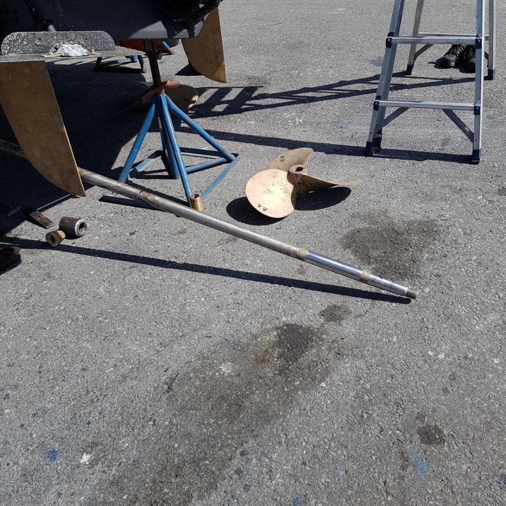20190627_150741_resized.jpg.c40297e0ded7d235c48e7ec62ba6c105.jpg