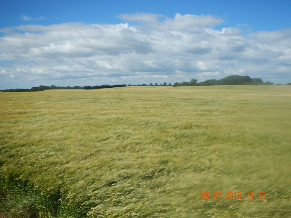 2095732363_byggDSCN5029.JPG.43b882a9b022df1ae6cac20024e4e02f.JPG