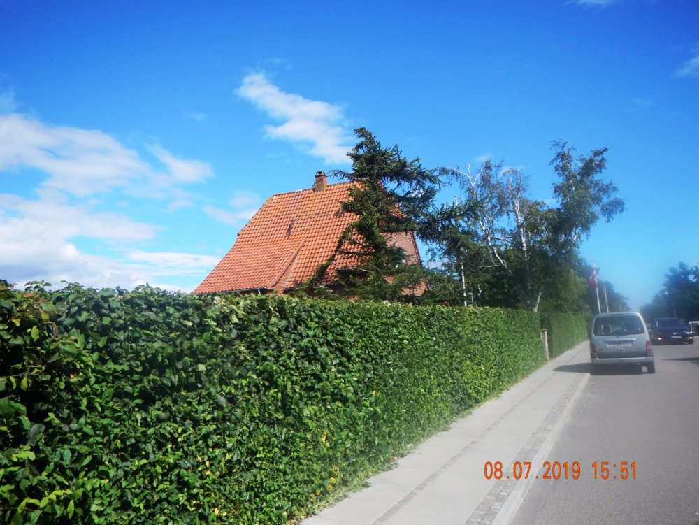 763823122_villaDSCN5036.JPG.94e079337874d404e7d3c63c0485bd38.JPG
