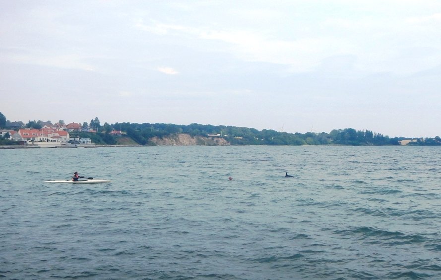 79510398_haiDSCN5272.JPG.72019e40bbb680e4fdbf32f7159fa2aa.JPG