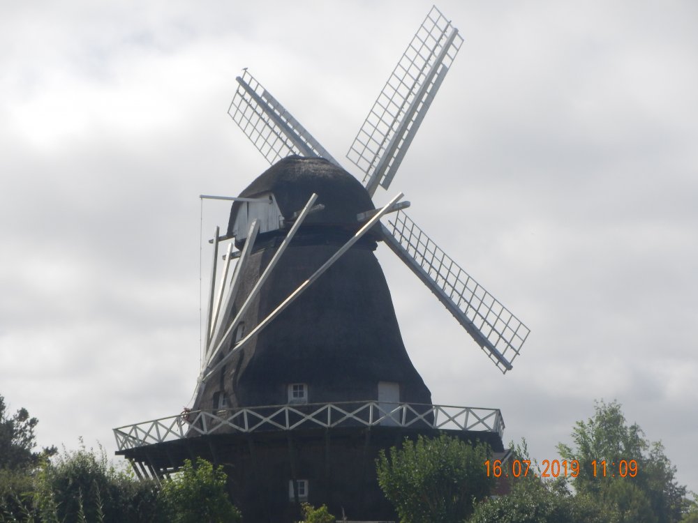 DSCN5119.JPG.d0cd8eb01a409e2513c340fec5914d4d.JPG
