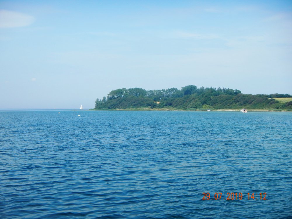 DSCN5438.JPG.a3d64fd79038c6dd05aad41efa021aa4.JPG