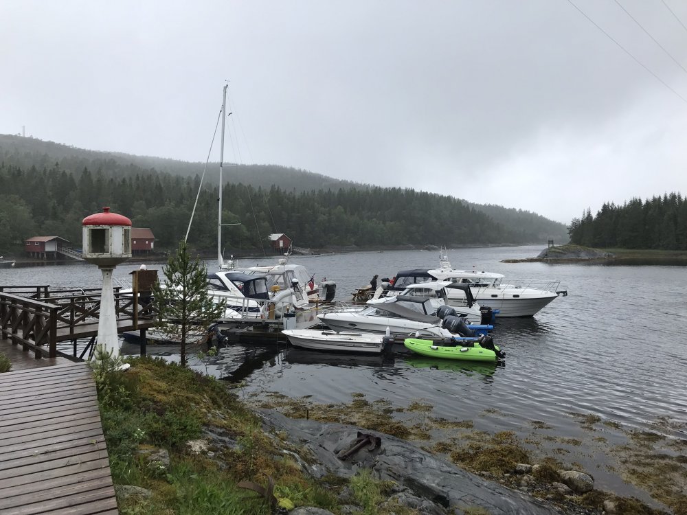 E23EE529-DF35-4EC8-AF86-D81A22E9F32C.jpeg.a2f91da0b3098f0e4c97f28b8307f607.jpeg